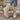 Women’s Heeled Cowgirl Boots